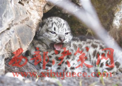 1498028983562425.jpg 2.jpg