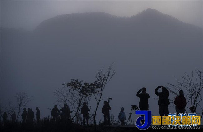 1510189423197171.jpg 2.jpg