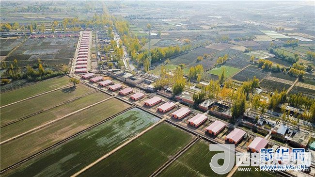 1510885688173934.jpg 2.jpg