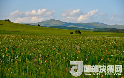 錫林郭勒草原。吳勇攝