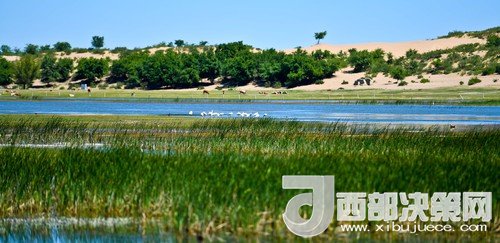 阿魯科爾沁保護(hù)區(qū)濕地沙丘。吳勇攝