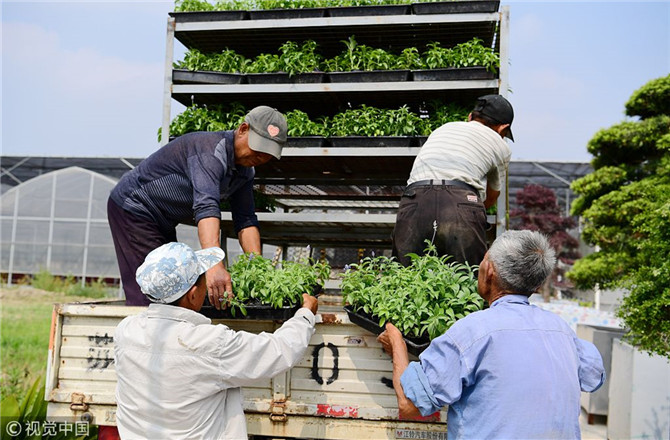 數(shù)字經(jīng)濟(jì)已經(jīng)成為我國(guó)經(jīng)濟(jì)社會(huì)更好發(fā)展的重要推動(dòng)力，也為我國(guó)鄉(xiāng)村發(fā)展提供了新的歷史機(jī)遇。（圖片來源：視覺中國(guó)）