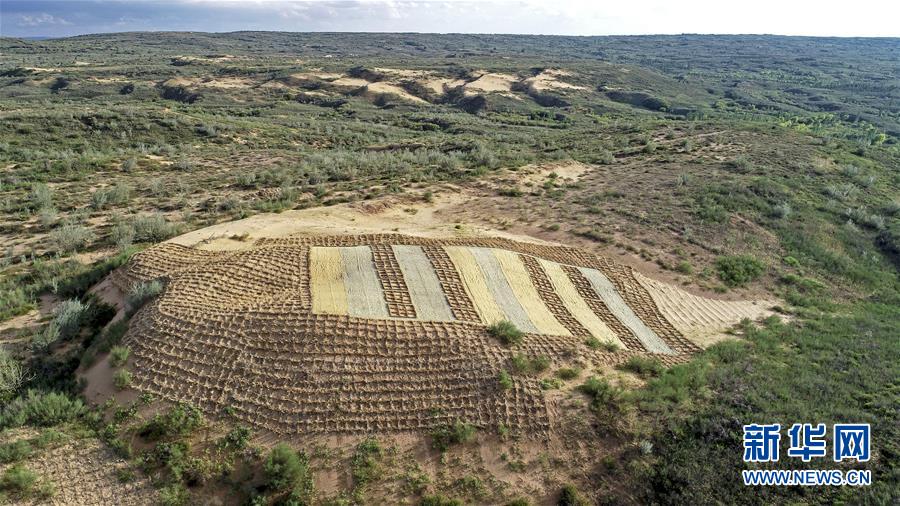（壯麗70年·奮斗新時代——共和國發(fā)展成就巡禮·圖文互動）（6）生態(tài)美、百姓富——品讀嶄新“寧夏畫卷”
