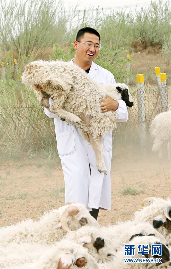 （壯麗70年·奮斗新時代——共和國發(fā)展成就巡禮·圖文互動）（3）生態(tài)美、百姓富——品讀嶄新“寧夏畫卷”