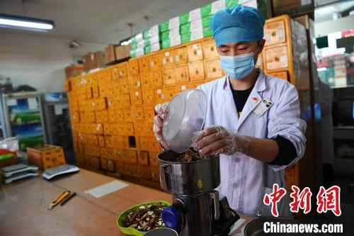 疫情發(fā)生以來，甘肅確保所有病例盡早、及時、全程使用中醫(yī)中藥，努力做到“一患一方案”。(資料圖) 楊艷敏 攝