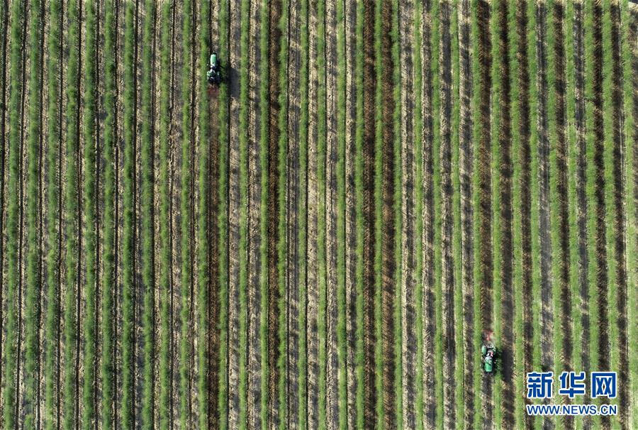 (新華全媒頭條·百萬(wàn)大移民·圖文互動(dòng))(10)從大山深處到大河之畔——寧夏持續(xù)移民百萬(wàn)“拔窮根”啟示