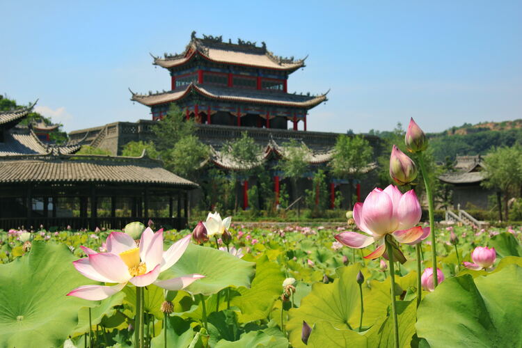 【云游渭南】心中若有桃花源，此處便是水云間！待疫情散盡，一起來渭南桃花源賞美景、觀民俗、享美食_fororder_2